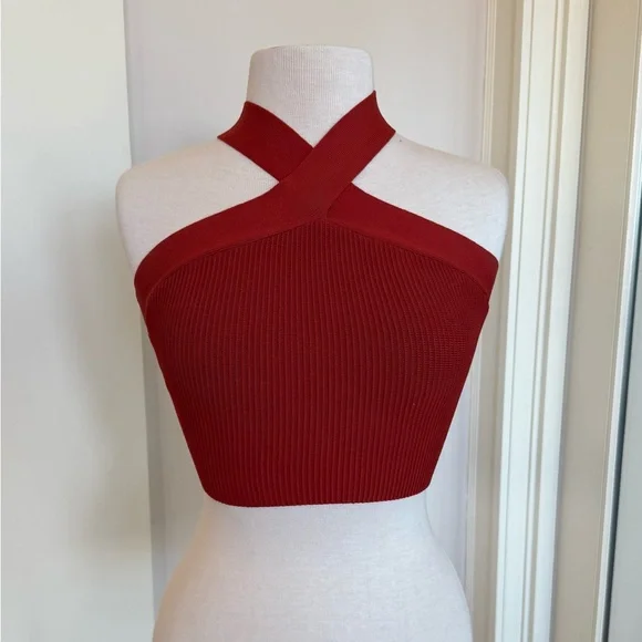 Aritzia Babaton Crimson Cross-Neck Crop Top - Picture 1 of 3